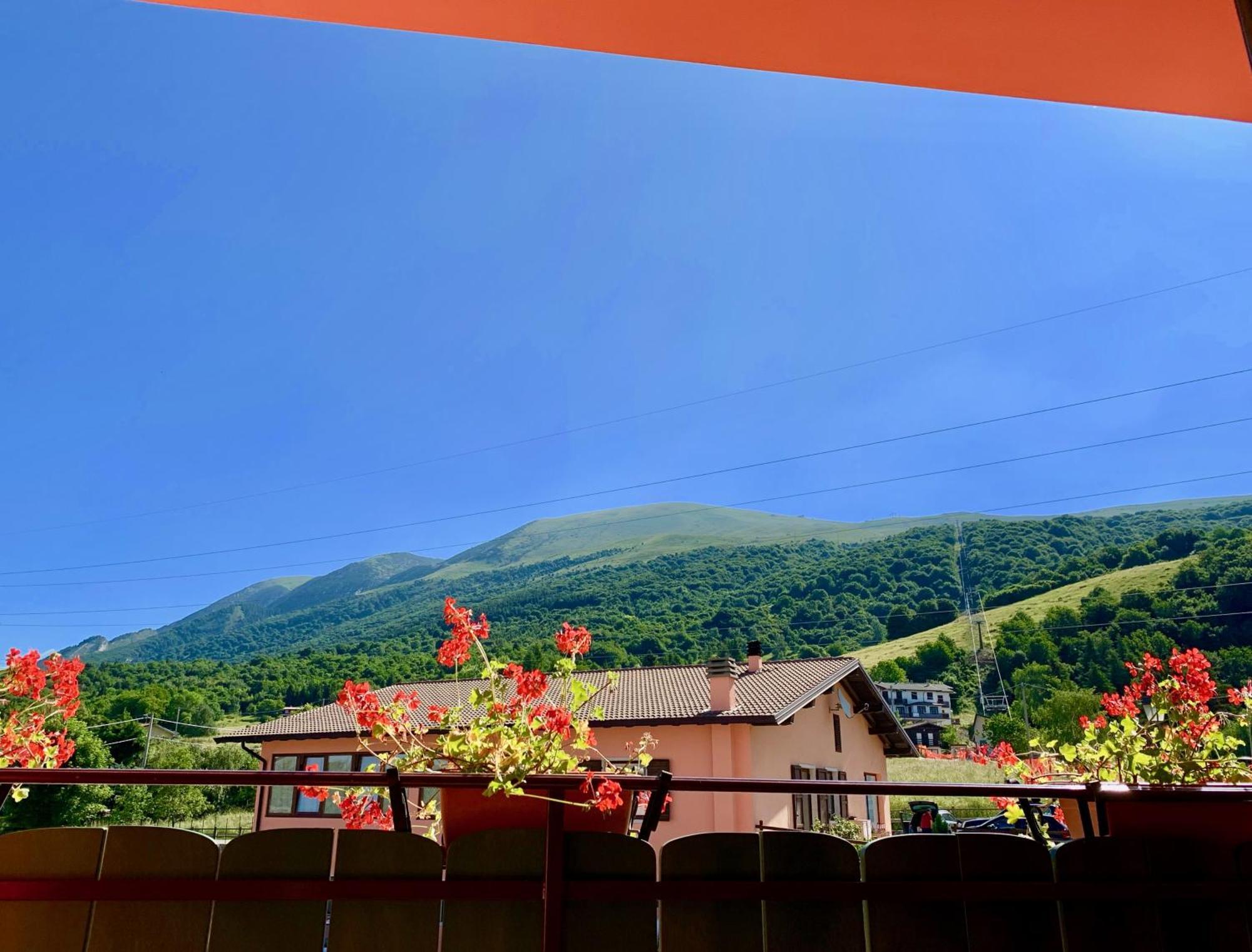 Edelweiss San Zeno di Montagna